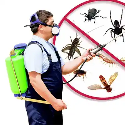 pest control Stokes